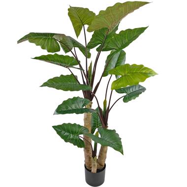 Hoyz Greenery - Kunstplant Calocasia 210 cm product