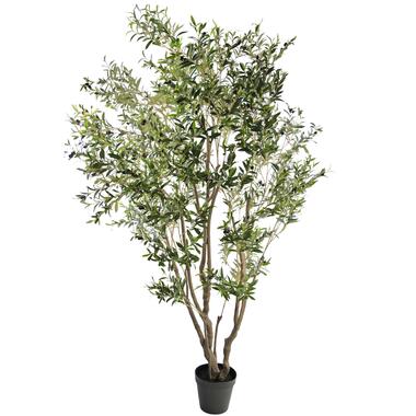 Hoyz Greenery - Kunstplant Olijfboom 260 cm product