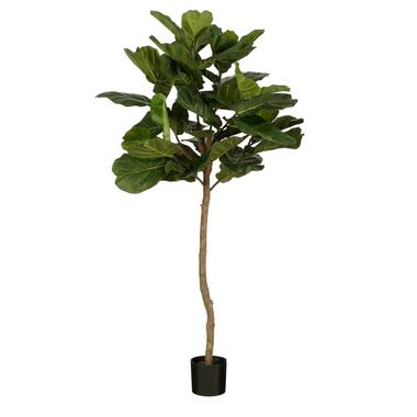 Mica Decorations Ficus Lyrata Kunstplant - H165 x Ø95 - Groen product