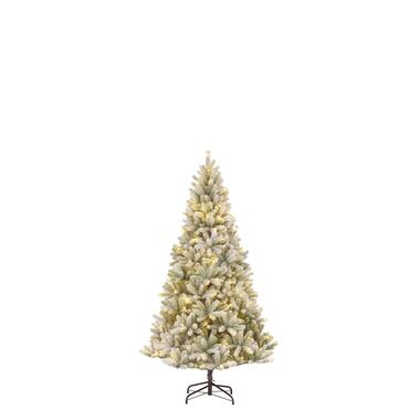 Black Box Trees Nagoya Sapin de Noël artificiel LED - H120 x Ø79 cm product