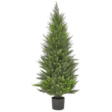 Plante artificielle CEDAR TREE 120 cm product