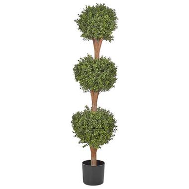 Plante artificielle BUXUS BALL TREE 154 cm product