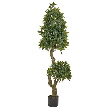 Plante artificielle LAURELE 160 cm product