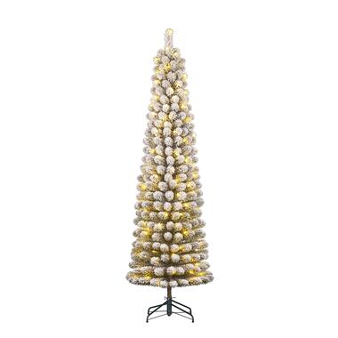 Black Box Trees Charlton Sapin de Noël artificiel LED - H230 x Ø58 cm product