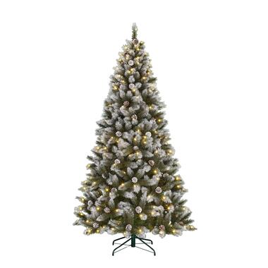 Black Box Trees Pittsfield Sapin de Noël artificiel - H230 x Ø122 cm product