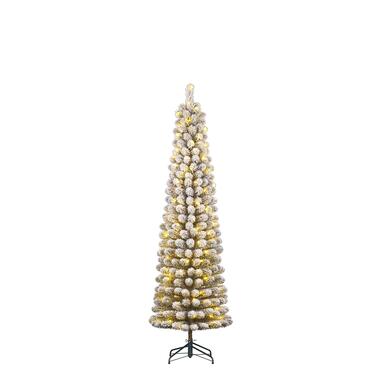 Black Box Trees Charlton Sapin de Noël artificiel LED - H185 x Ø53 cm product