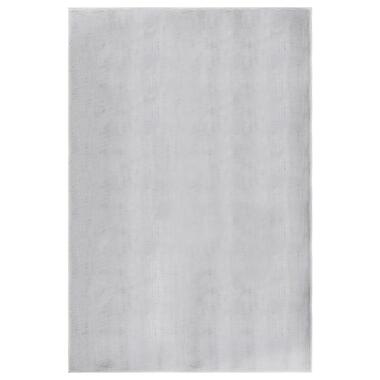 Dutch Lifestyle - Polyester - Tapis - 160x230cm - Gris product