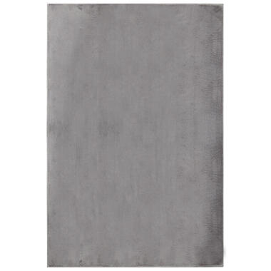 Dutch Lifestyle - Polyester - Tapis - 160x230cm - Gris product