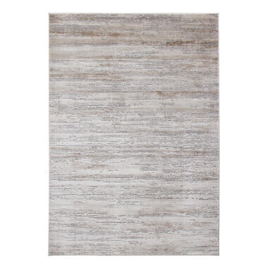 Dutch Lifestyle - polypropylène - Tapis - 160x230cm - Beige product