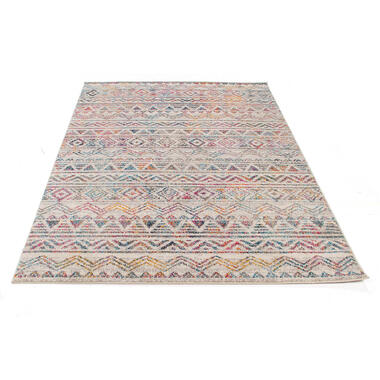 Dutch Lifestyle - Polypropylène - Tapis - 160x230cm - Multicolore product