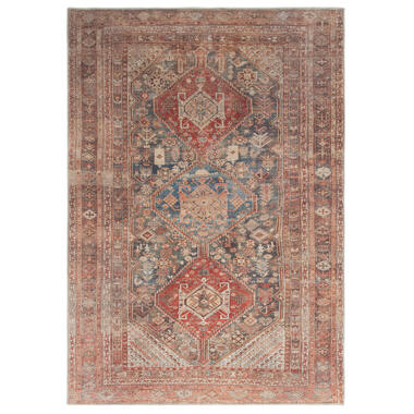 Dutch Lifestyle - Polyester - Tapis - 160x230cm - Multicolore product