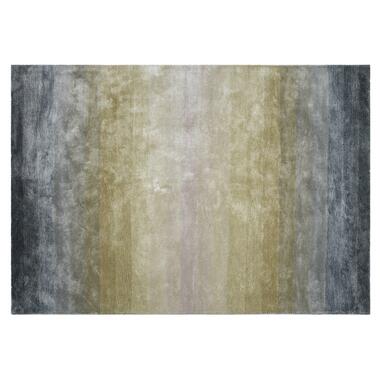 Dutch Lifestyle - Viscose - Tapis - 160x230cm - Multicolore product