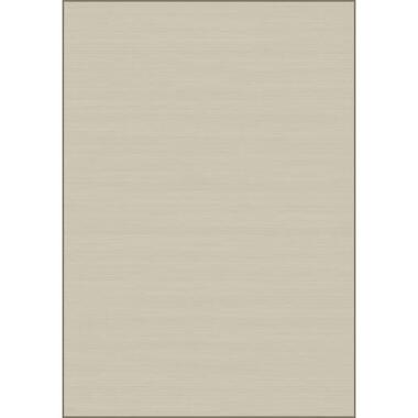 Dutch Lifestyle - Viscose - Tapis - 160x230cm - Beige product