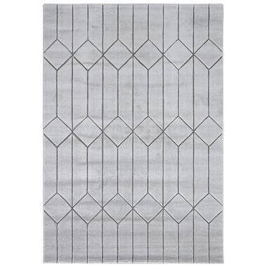 Dutch Lifestyle - Polypropylène - Tapis - 160x230cm - Gris product