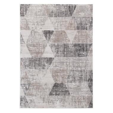 Dutch Lifestyle - polypropylène - Tapis - 160x230cm - Beige product