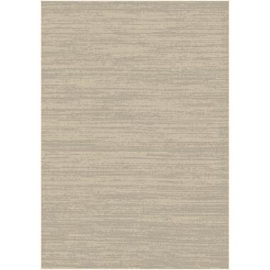 Dutch Lifestyle - Viscose - Tapis - 160x230cm - Beige product