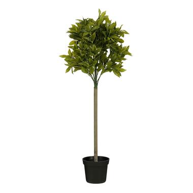 Mica Decorations Laurier Arbre Artificiel - H120 x Ø40 cm - Vert product