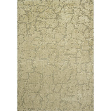 Interieur05 vloerkleed Cairt geel/beige - 230 x 160 cm product