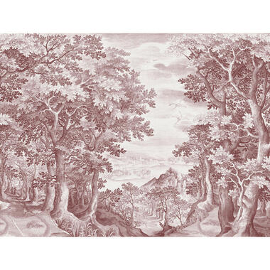 Sanders & Sanders fotobehangpapier - bos - rood - 371 x 280 cm product