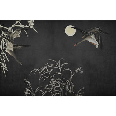 Sanders & Sanders fotobehangpapier - vogels - zwart en grijs - 424 x 280 cm product