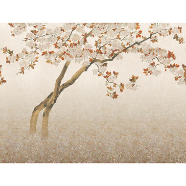 Sanders & Sanders fotobehangpapier - bloesems - bruin - 371 x 280 cm product