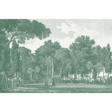 Sanders & Sanders fotobehangpapier - bos - groen - 424 x 280 cm product