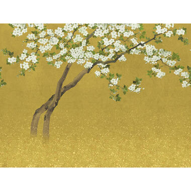 Sanders & Sanders papier peint panoramique - fleurs de cerisier - jaune ocre product