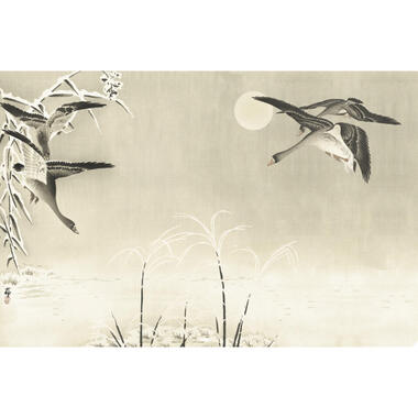 Sanders & Sanders papier peint panoramique - oiseaux - beige - 424 x 280 cm product