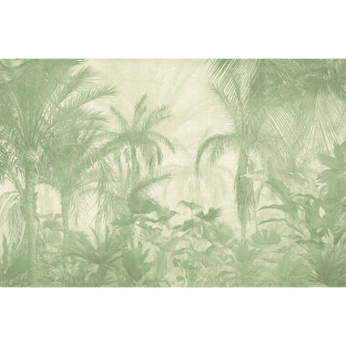 Sanders & Sanders fotobehangpapier - jungle-motief - groen - 424 x 280 cm product