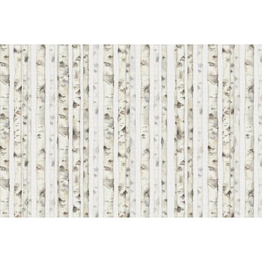 Sanders & Sanders fotobehangpapier - bos - beige - 424 x 280 cm product