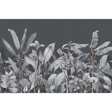 Sanders & Sanders papier peint panoramique - feuilles de palmier - gris product