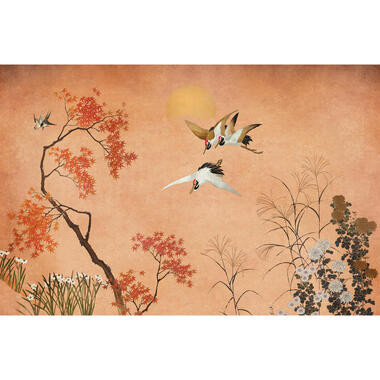 Sanders & Sanders papier peint panoramique - oiseaux de grue product