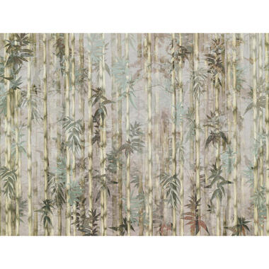 Sanders & Sanders papier peint panoramique - bambou - vert grisé - 371 x 280 cm product