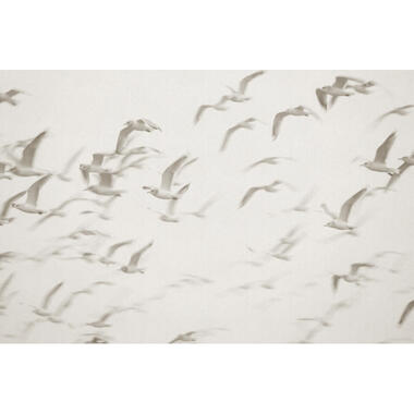 Sanders & Sanders papier peint panoramique - oiseaux - beige - 424 x 280 cm product