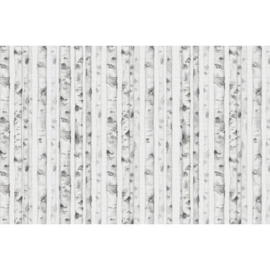 Sanders & Sanders fotobehangpapier - bos - grijs - 424 x 280 cm product
