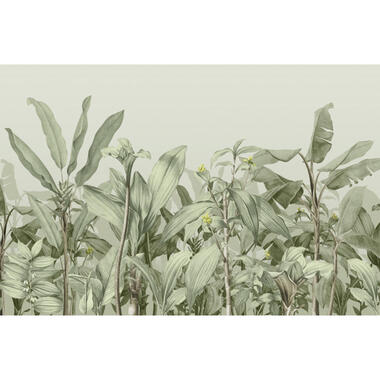 Sanders & Sanders fotobehangpapier - palmbladeren - groen - 424 x 280 cm product