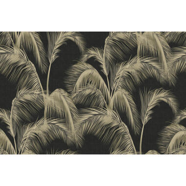 Sanders & Sanders fotobehangpapier - palmbladeren - zwart en beige product