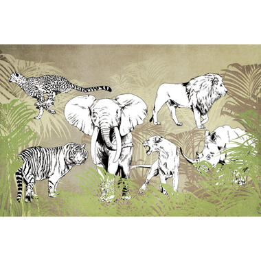 Sanders & Sanders fotobehangpapier - jungle dieren - jungle groen en zwart wit product