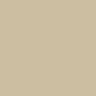 Duro Wallpaper behangpapier - effen - donker beige - 53 cm x 10.05 m product
