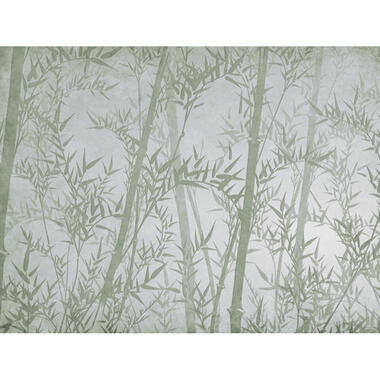 Sanders & Sanders fotobehangpapier - bamboe bladeren - groen - 371 x 280 cm product
