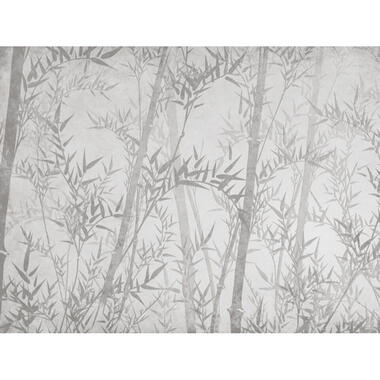 Sanders & Sanders fotobehangpapier - bamboe bladeren - grijs - 371 x 280 cm product