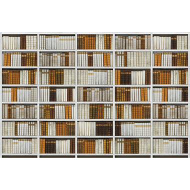 Sanders & Sanders fotobehangpapier - boekenkast - meerkleurig - 424 x 280 cm product