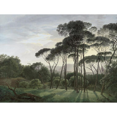 Sanders & Sanders papier peint panoramique - paysage italien - vert product