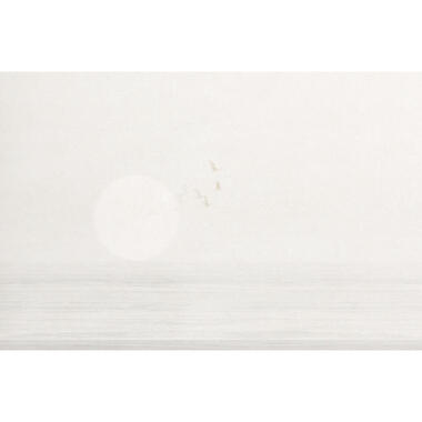 Sanders & Sanders fotobehangpapier - vogels in de natuur - grijs - 424 x 280 cm product