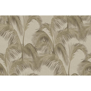 Sanders & Sanders papier peint panoramique - feuilles de palmier - marron product