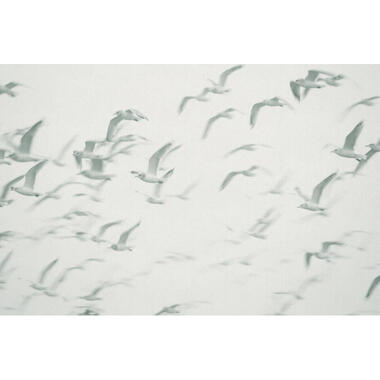 Sanders & Sanders fotobehangpapier - vogels - blauw en groen - 424 x 280 cm product