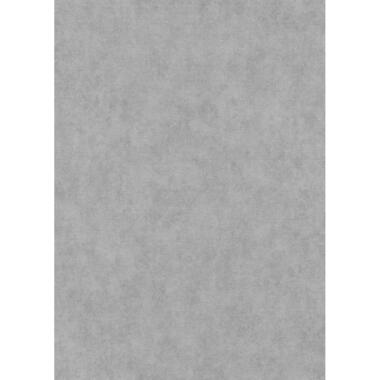 Erismann behangpapier - effen - grijs - 53 cm x 10.05 m - 662401 product