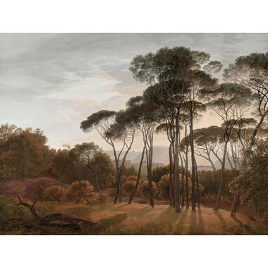 Sanders & Sanders fotobehangpapier - Italiaans landschap - bruin - 371 x 280 cm product