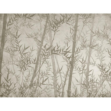 Sanders & Sanders papier peint panoramique - feuilles de bambou - cervine product