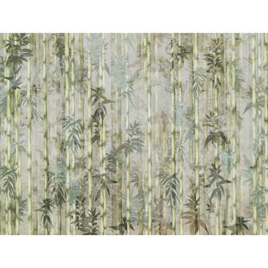 Sanders & Sanders fotobehangpapier - bamboe - groen - 371 x 280 cm product